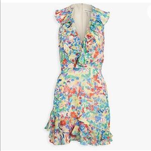 Saloni CeCe Floral Confetti Ruffle V Neck Dress